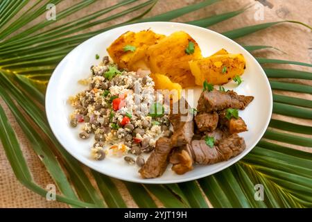 Traditionelles rustikales, tropisches brasilianisches Gericht, sonnengetrocknetes Rindfleisch mit grünen Bohnen, Maniok, Biquinho-Pfeffer. Kreative rustikale Fotografie Stockfoto