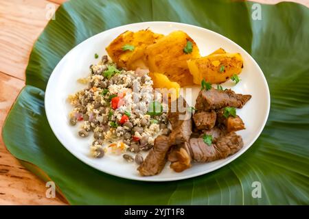 Traditionelles rustikales, tropisches brasilianisches Gericht, sonnengetrocknetes Rindfleisch mit grünen Bohnen, Maniok, Biquinho-Pfeffer. Kreative rustikale Fotografie Stockfoto