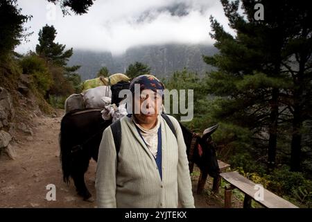 Oktober 2009 WWF Everest Lhakpa Deeki Sherpa Datum: 12 Okt. Namche zu Thomtang. Sie sagte, es gäbe starke Regenfälle mit großem Lärm Stockfoto