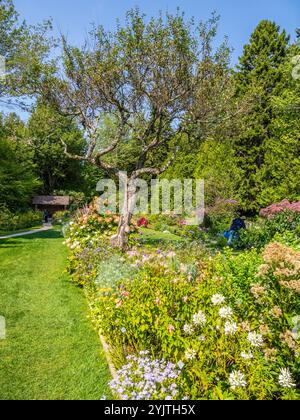 Fall in Thuya Garden ein halbformaler Kräutergarten auf Mount Desert Island im Nordosten von Maine USA Stockfoto