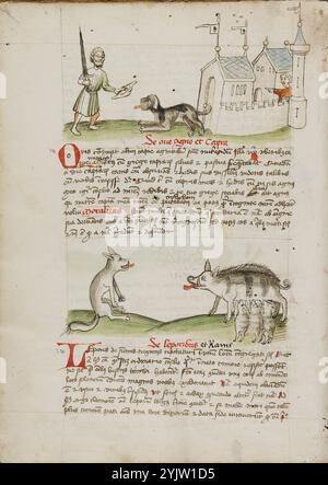 Ein Mann mit einem Schwert und ein Hund mit einem Knochen: Ein Wolf und ein Schwein; Fabeln: Exemplum de Tribus Latronibus: Defensio Curatorum Adversus Fratres Mendicantes, 1357: De Balsamo (Kap. 7 von de Mirabilibus): Predigten über das Lukasevangelium: De septem sacramentis: Und andere, drittes Viertel des 15. Jahrhunderts. Stockfoto