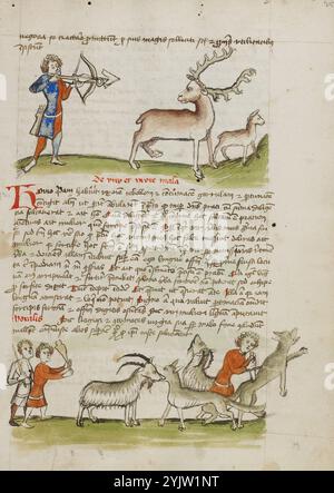 Ein Jäger mit Pfeil auf einen Hirsch, ein Hirsch in der Nähe: Zwei Männer mit Stangen und Schlägen, die auf eine Ziege, die ein Wolf gefangen hat, zueilen und den Wolf töten; Fables: Exemplum de Tribus Latronibus: Defensio Curatorum Adversus Fratres Mendicantes, 1357: De Balsamo (Kap. 7 von de Mirabilibus): Predigten über das Lukas-Evangelium: De septem sacramentis, 15. Jahrhundert und andere. Stockfoto