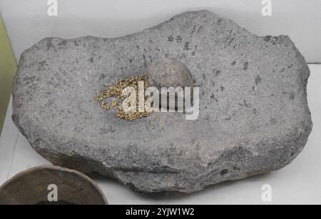 Vorgeschichte. Quernstein zum Mahlen von Getreidekörnern. Aus Egiertowo, Kreis Kartuzy, Woiwodschaft Pommern, Polen. Archäologisches Museum. Danzig, Polen. Stockfoto