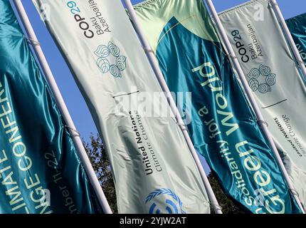 Baku, Aserbaidschan. November 2024. Banner mit dem COP20-Logo sind vor einem Haupteingang während der Klimakonferenz der Vereinten Nationen COP29 zu sehen, einer Veranstaltung des Rahmenübereinkommens der Vereinten Nationen über Klimaänderungen (UNFCCC) im Olympiastadion von Baku. Die COP29, die vom 11. Bis 22. November läuft, konzentriert sich auf die Klimafinanzierung. Quelle: SOPA Images Limited/Alamy Live News Stockfoto