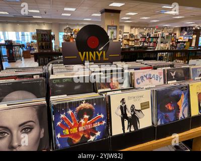 Schallplatten haben in der Musikindustrie ein wahres Comeback erlebt, wie man an der Ausstellung von Schallplatten zum Verkauf im Barnes & Noble Store in der Park Slope sehen kann Stockfoto