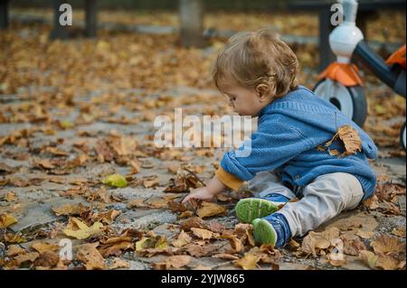 Ein kleines Kind in einem blauen Pullover sitzt zwischen herbstlichen Blättern in einem Park und erkundet spielerisch seine Umgebung. Die Szene vermittelt ein Gefühl von Neugier Stockfoto