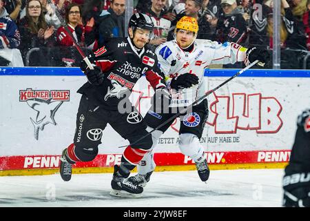 Deutschland. November 2024. Eishockey Penny-DEL 16.Spieltag Koelner Haie - Pinguins Bremerhaven am 15.11.2024 in der Lanxess Arena in Köln Moritz Müller ( Köln ), links - Max Goertz ( Bremerhaven ), rechts Gemaess den Vorgaben der DEL Deutsche Eishockey Liga ist die Publikation und Weiterverwertung der Aufnahmen in elektronischen Medien und Endgeraeten aller Art waehrend des laufenden Spiele zulaessig. Foto: Revierfoto Credit: ddp Media GmbH/Alamy Live News Stockfoto