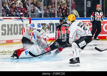 Deutschland. November 2024. Eishockey Penny-DEL 16.Spieltag Koelner Haie - Pinguins Bremerhaven am 15.11.2024 in der Lanxess Arena in Köln Parker Tuomie ( Köln ), mitte - scheitert an Kristers Gudlevskis ( Bremerhaven ), links Gemaess den Vorgaben der DEL Deutsche Eishockey Liga ist die Publikation und Weiterverwertung der Aufnahmen in elektronischen Medien und Endgeraeten aller Art waehrend des laufenden Spiele nicht zulaessig. Foto: Revierfoto Credit: ddp Media GmbH/Alamy Live News Stockfoto