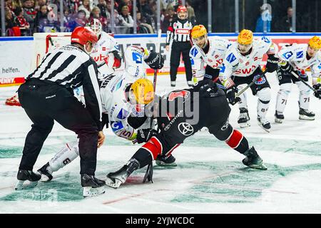 Deutschland. November 2024. Eishockey Penny-DEL 16.Spieltag Koelner Haie - Pinguins Bremerhaven am 15.11.2024 in der Lanxess Arena in Köln Christian Wejse ( Bremerhaven ), links - Louis-Marc Aubry ( Köln ), - beim Bully Gemaess den Vorgaben der DEL Deutsche Eishockey Liga ist die Publikation und Weiterverwertung der Aufnahmen in elektronischen Medien und Endgeraeten aller Art waehrend des laufenden Spiele nicht zulaessig. Foto: Revierfoto Credit: ddp Media GmbH/Alamy Live News Stockfoto