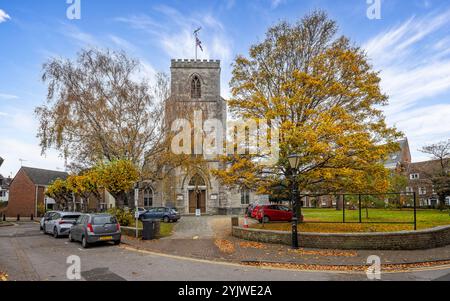 Pfarrkirche St. James umgeben von herbstlichen Bäumen in der Altstadt von Poole, Dorset, Großbritannien am 14. November 2024 Stockfoto