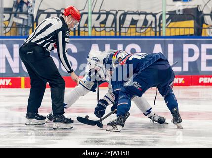 Bully zwischen Joshua Samanski (Straubing Tigers, #8) und Nikolaus Heigl (EHC Red Bull Muenchen, #15). GER, EHC Red Bull Muenchen vs. Straubing Tigers, Eishockey, DEL, 16. Spieltag, Saison 2024/2025, 15.11.2024. Foto: Eibner-Pressefoto/Heike Feiner Stockfoto