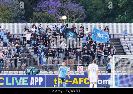 Die Fans des Sydney FC zeigen ihre Unterstützung während der AFC Champions League Two: Dem Spiel Sydney FC gegen Sanfrecce Hiroshima zwischen Sydney FC und SanFrecce in Jubile Stockfoto