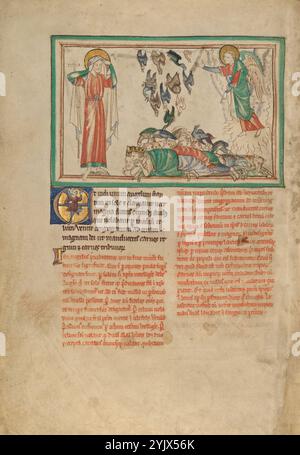 Ein Engel, der in der Sonne steht und Vögel zum fest eingeladen wurden; Dyson Perrins Apocalypse, um 1255–1260. Weitere Informationen: In diesem Abschnitt der Apokalypse beschreibt Johannes einen Engel, der in der Sonne steht und zu allen Vögeln des Himmels ruft. Rechts schwebt der Engel mit der Sonne unter seinen Füßen und ruft die Vögel auf, sich von den Mächtigen und Sanftmütigen der Erde zu ernähren. Am unteren Rand der Miniatur erscheint ein großer Haufen Körper, mit Vögeln, die im Angriff herunterspringen oder auf ihnen stehen, um ihr Fleisch zu pflücken. Der Künstler hat ein erschreckendes Detail aufgenommen, das im Text nicht erwähnt wird: Das Stockfoto