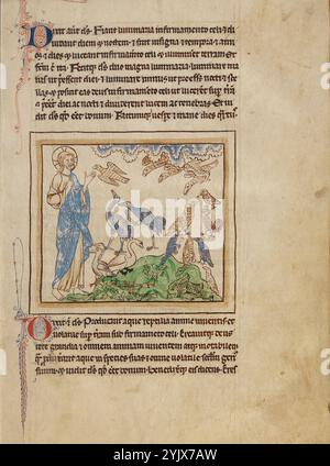 The Creation of the Birds and Fishes; Northumberland Bestiary, um 1250–1260. Stockfoto