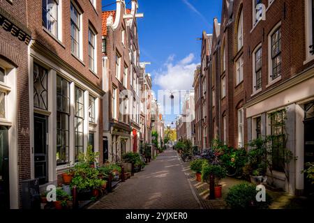 Eine enge Straße im historischen Zentrum von Amsterdam, gesäumt von charmanten, jahrhundertealten Gebäuden mit verzierten Fassaden. Stockfoto
