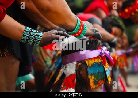 Mädchen aus Guajajara, die vor kurzem menstruiert wurden, haben während des Wyrau'haw-Rituals im indigenen Dorf Maracan„ in Rio de Janeiro ihren Körper mit Federn bedeckt. Unter den Ureinwohnern der Guajajara ist die Wyrau'haw-Feier ein Ritus der Weiblichkeit, der Jugendlichen Mädchen zum Zeitpunkt ihrer ersten Menstruation gewidmet ist. Das indigene Dorf Maracan„ liegt in Brasilien, neben dem berühmten Maracan-„-Fußballstadion von Rio de Janeiro, was das Land für Immobilienentwickler attraktiv macht. Eine Gruppe indigener Aktivisten, die sich 2006 dort niedergelassen haben, kämpft für den Erhalt und die Verteidigung dieses Territoriums Stockfoto