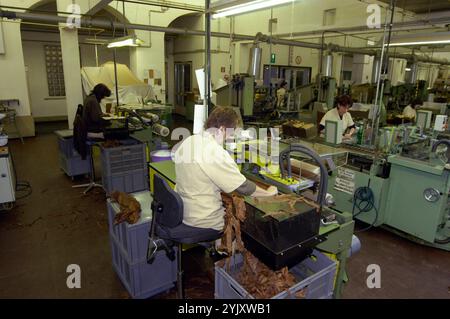 Herstellung und Verarbeitung von Tabakwaren in einer Fabrik Herstellung von Tabakwaren in einer Fabrik Stockfoto