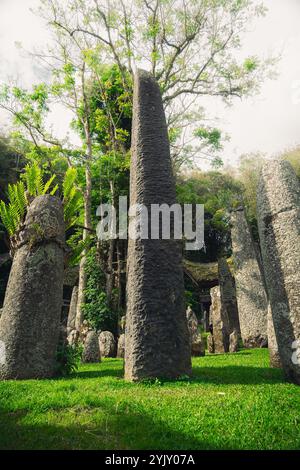 Megalithen oder Menhire von Tana Toraja. Alte torajan-Grabstätte in Bori, Rantepao, Sulawesi, Indonesien. Stockfoto