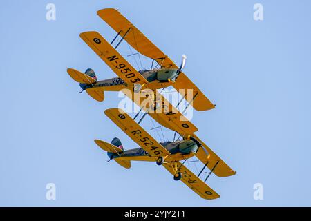 Tiger Moth Stockfoto