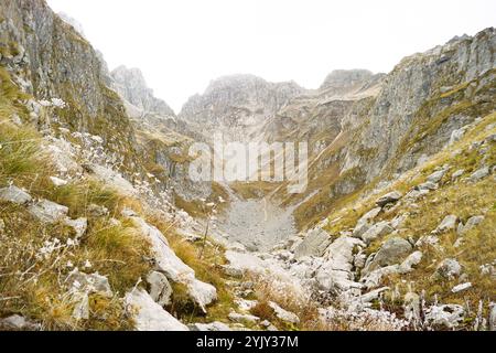 Landschaft aus dem Ljubokuć-Tal, auch bekannt als Lugo i kuq (Prokletije, Montenegro): Berghänge, gelbes Gras und frostbedeckte Blumen Stockfoto