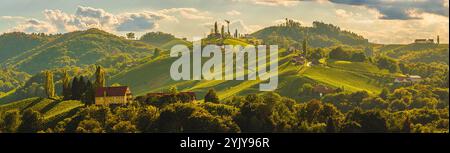 Panorama der Weinberge entlang der Südsteirischen Weinstraße im Herbst, Österreich Europa. Hochauflösendes Panorama Stockfoto