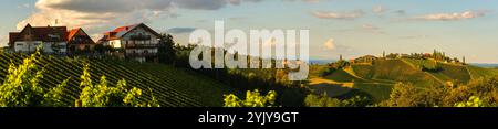 Panorama der Weinberge entlang der Südsteirischen Weinstraße im Herbst, Österreich Europa. Hochauflösendes Panorama Stockfoto