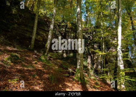 Malerische Naturvielfalt von Müllerthal, Luxemburgs kleiner Schweiz, Wanderwege, Felsformationen, moosbedeckte Wälder, Touristenziel in E Stockfoto