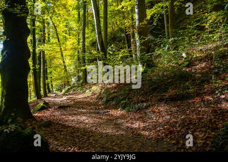 Malerische Naturvielfalt von Müllerthal, Luxemburgs kleiner Schweiz, Wanderwege, Felsformationen, moosbedeckte Wälder, Touristenziel in E Stockfoto