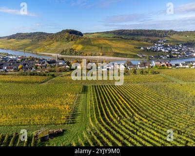 Blick aus der Vogelperspektive auf die terrassenförmig angelegten Weinberge rund um Nittel, Rheinland-Pfalz, Deutschland und Blick über die Mosel auf die Weinberge von Machtum, Luxemburg Stockfoto