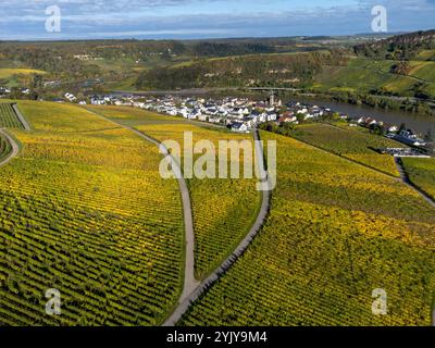 Blick aus der Vogelperspektive auf die terrassenförmig angelegten Weinberge rund um Nittel, Rheinland-Pfalz, Deutschland und Blick über die Mosel auf die Weinberge von Machtum, Luxemburg Stockfoto