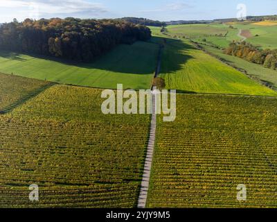 Blick aus der Vogelperspektive auf die terrassenförmig angelegten Weinberge rund um Nittel, Rheinland-Pfalz, Deutschland und Blick über die Mosel auf die Weinberge von Machtum, Luxemburg Stockfoto