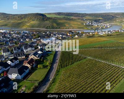 Blick aus der Vogelperspektive auf die terrassenförmig angelegten Weinberge rund um Nittel, Rheinland-Pfalz, Deutschland und Blick über die Mosel auf die Weinberge von Machtum, Luxemburg Stockfoto