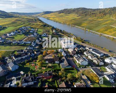 Blick aus der Vogelperspektive auf die terrassenförmig angelegten Weinberge rund um Nittel, Rheinland-Pfalz, Deutschland und Blick über die Mosel auf die Weinberge von Machtum, Luxemburg Stockfoto