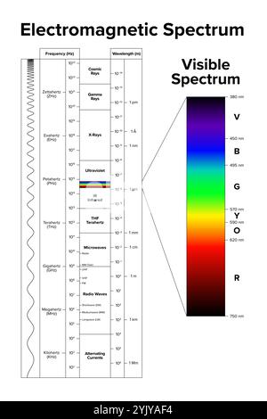 Elektromagnetisches Spektrum und sichtbares Spektrum separat hervorgehoben. Diagramm des gesamten Bereichs der elektromagnetischen Strahlung. Stockfoto