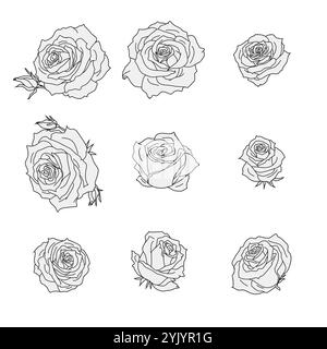 Set von handgezeichneten Rosen isoliert, Vektorskizze. Einfarbige Umrissblumen. Botanische Kunst in Schwarz und weiß Stock Vektor