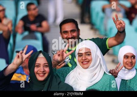 Sydney Cricket Ground, Sydney, Australien. November 2024. Zweite internationale T20 Cricket, Australien gegen Pakistan; Pakistan Fans Credit: Action Plus Sports/Alamy Live News Stockfoto