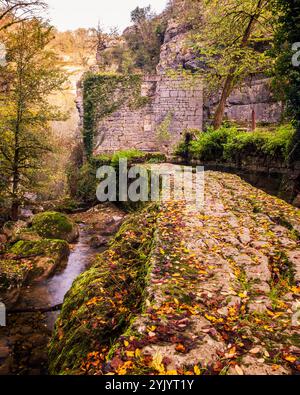 Moulin du Saut, eine verlassene Mühle aus dem 18. Jahrhundert in einem Wald von Herbstfarben am Fluss Alzou in der Region Lot in Frankreich Stockfoto