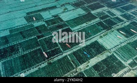 Luftaufnahme der Algenfarm auf der Insel Lembongan in Indonesien Stockfoto