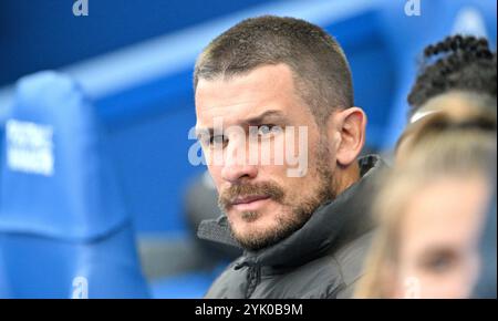 Brighton UK 16. November 2024 - Brighton Women's Team Manager Dario Vidosic während des Barclays Women's Super League Fußballspiels zwischen Brighton & Hove Albion und West Ham United im American Express Stadium , Brighton : Credit Simon Dack /TPI/ Alamy Live News Stockfoto