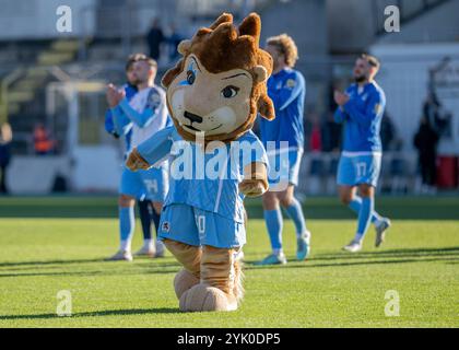 München, Deutschland. November 2024. Maskottchen Sechzger (TSV 1860 München). GER, TSV 1860 München gegen SpVgg Unterhaching, Fussball, Bayerischer Totopokal, Viertelfinale, Saison 2024/2025, 16.11.2024. Foto: Eibner-Pressefoto/Heike feiner Credit: dpa/Alamy Live News Stockfoto