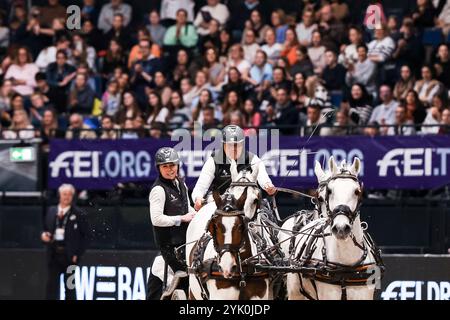 Stuttgart, Deutschland. November 2024. 3. Platz Bronze, Chardon Ijsbrand, Niederlande FEI Driving World Cup MASTERHORSE DEUTSCHER MEISTER Zeit-Hindernisfahren Vierspaenner mit 2 Umlaeufen Wertungspruefung für den Weltcup Fahren 2024/2025 International GER, Stuttgart German Masters 2024, 38. internationales Reitturnier, 16.11.2024 Foto: Eibner-Pressefoto/Roger Buerke Credit: dpa/Alamy Live News Stockfoto