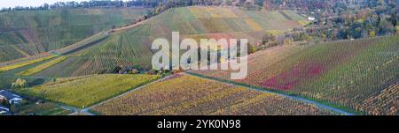 Herbstfarbene Weinberge im Stadtteil Untertuerkheim, Herbst in Stuttgart. Luftaufnahme. Baden-Württemberg, Deutschland, Europa Stockfoto