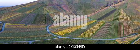 Herbstfarbene Weinberge im Stadtteil Untertuerkheim, Herbst in Stuttgart. Luftaufnahme. Baden-Württemberg, Deutschland, Europa Stockfoto