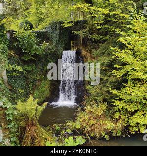 Wasserfall in Katzenloch im Landkreis Birkenfeld, Hunsrueck, Rheinland-Pfalz, Deutschland, Europa Stockfoto