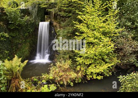 Wasserfall in Katzenloch im Landkreis Birkenfeld, Hunsrueck, Rheinland-Pfalz, Deutschland, Europa Stockfoto