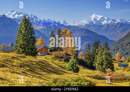 Herbstlandschaft mit Chalets und Panorama Dom 4545m, Matterhorn 4478m und Weisshorn 4505m, Bettmeralp, Goms, Rhonetal, Oberwallis, Wallis, S Stockfoto