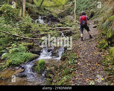 Wanderer in der Hoelzbachklamm mit kleinem Wasserfall, Gemeinde Morbach, Rheinland-Pfalz, Hunsrück, Deutschland, Europa Stockfoto