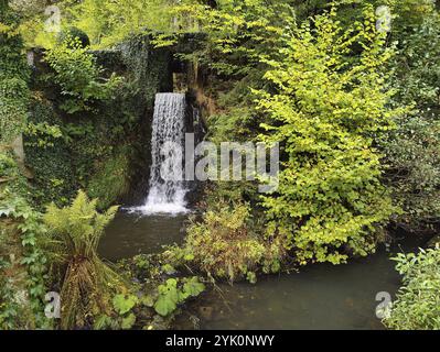 Wasserfall in Katzenloch im Landkreis Birkenfeld, Hunsrueck, Rheinland-Pfalz, Deutschland, Europa Stockfoto