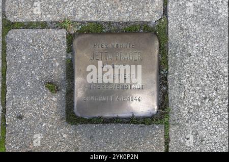 Stolperstein, Erinnerung an jüdische Mitbürger, die während der NS-Zeit vom Nationalsozialismus verfolgt, ermordet und deportiert wurden, Schnaitta Stockfoto