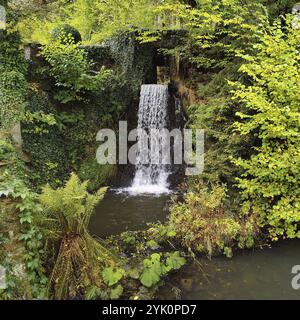 Wasserfall in Katzenloch im Landkreis Birkenfeld, Hunsrueck, Rheinland-Pfalz, Deutschland, Europa Stockfoto